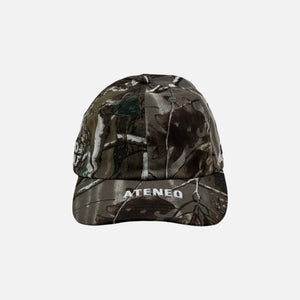 Woodland Camo Dad Hat